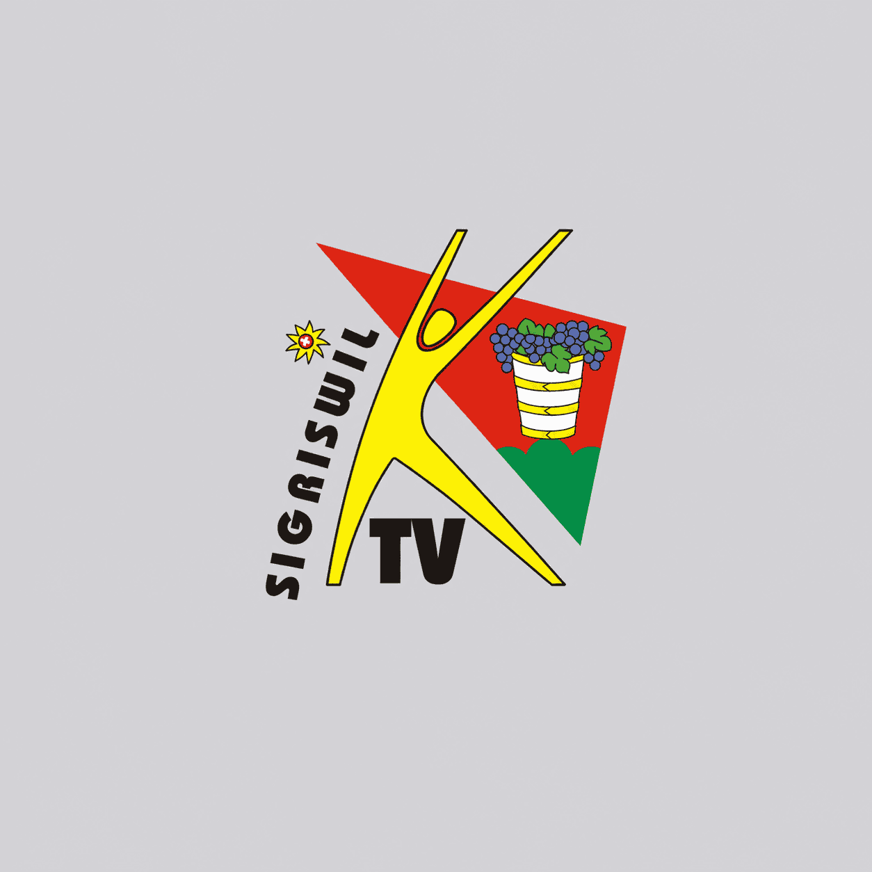tvs Sponsoren